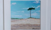 dunas_del_pinar_1369079370