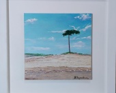 dunas_del_pinar_1369079370