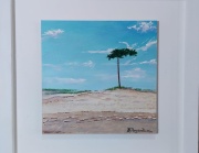 dunas_del_pinar_1369079370