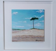 dunas_del_pinar_1369079370