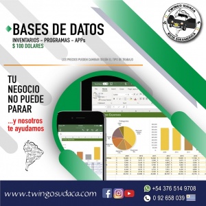 Bases de Datos e Inventarios Para tu Negocio