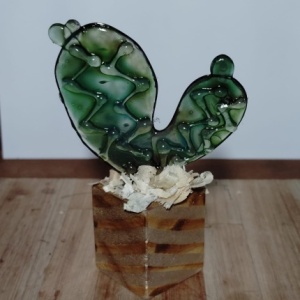 Cactus decorativos