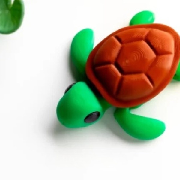 mini_flexibles_tortuga